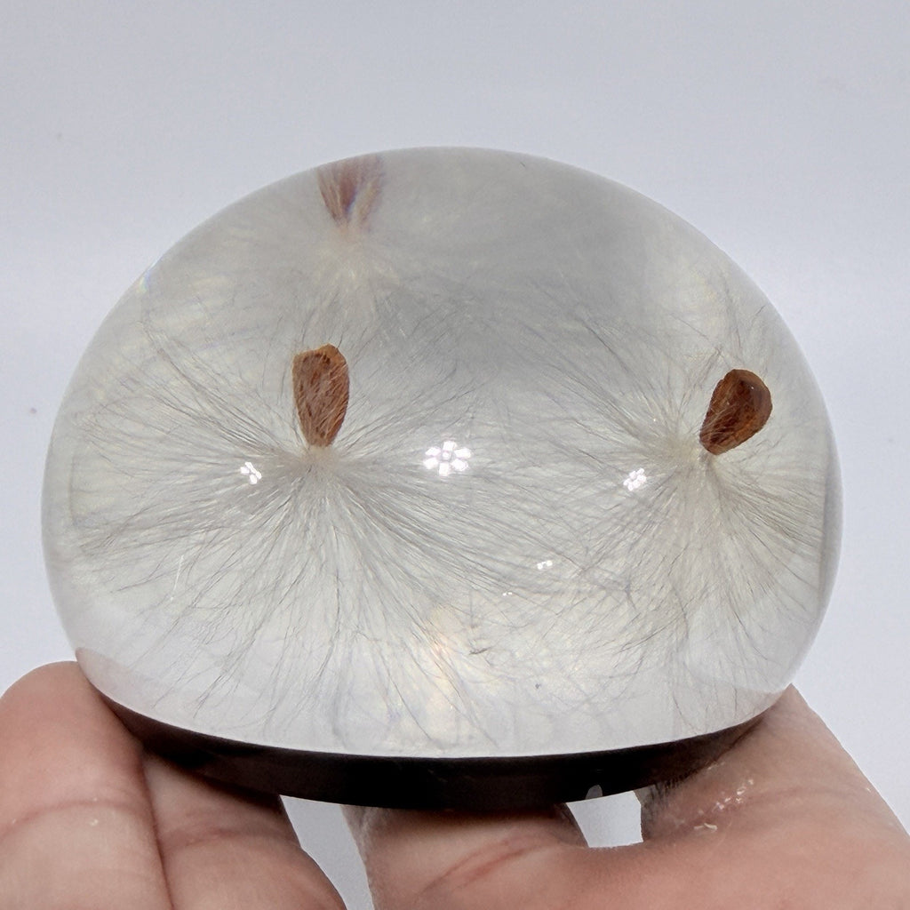Vintage Tarax Lucite Milkweed Seed Paperweight Canada Infinity Acrylic 3" Nature
