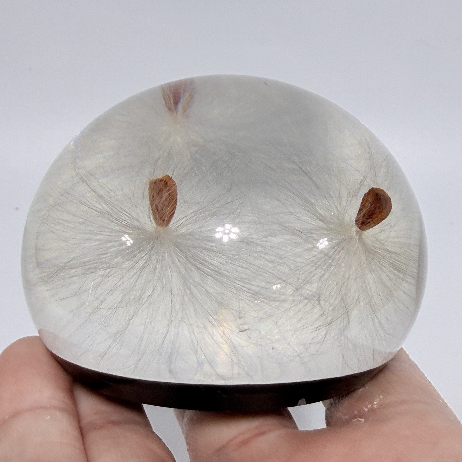 Vintage Tarax Lucite Milkweed Seed Paperweight Canada Infinity Acrylic 3" Nature