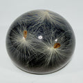 Vintage Tarax Lucite Milkweed Seed Paperweight Canada Infinity Acrylic 3" Nature