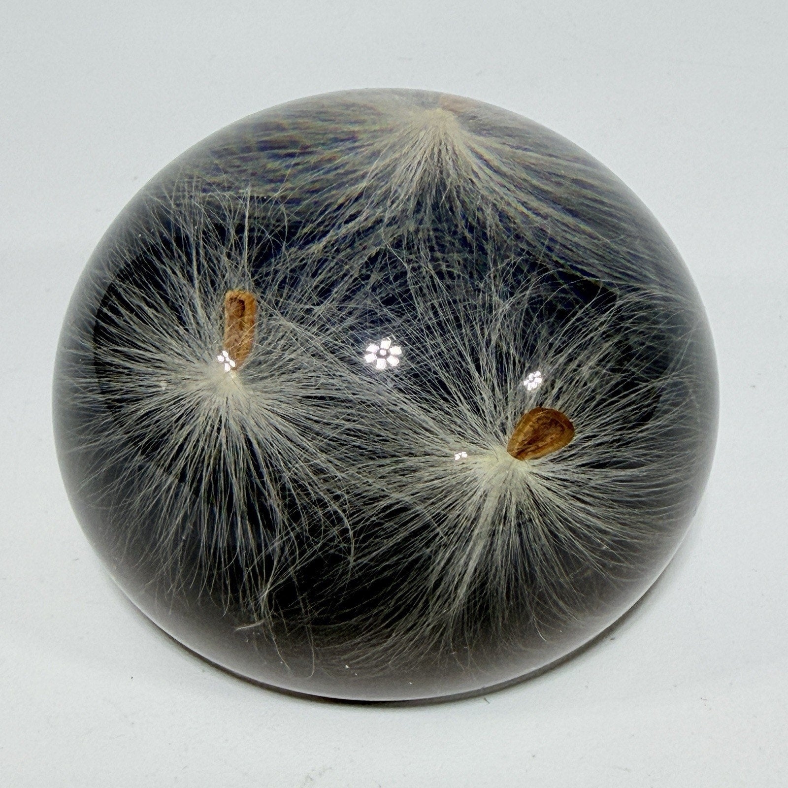 Vintage Tarax Lucite Milkweed Seed Paperweight Canada Infinity Acrylic 3" Nature