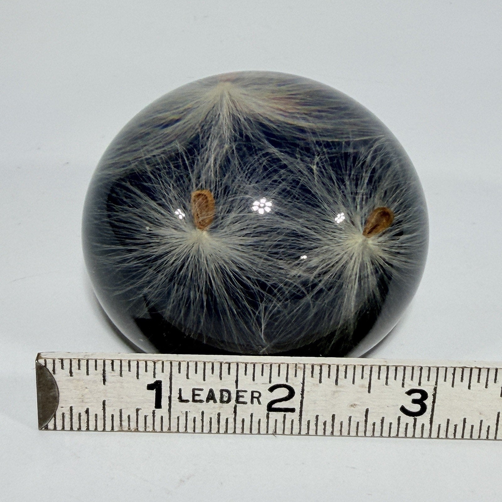Vintage Tarax Lucite Milkweed Seed Paperweight Canada Infinity Acrylic 3" Nature