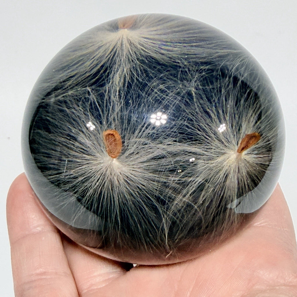 Vintage Tarax Lucite Milkweed Seed Paperweight Canada Infinity Acrylic 3" Nature